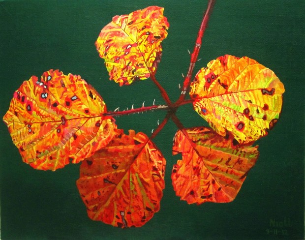 Autumnal Briar Leaves