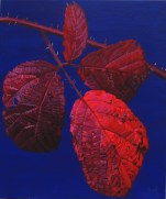 Autumnal Briar Leaves2