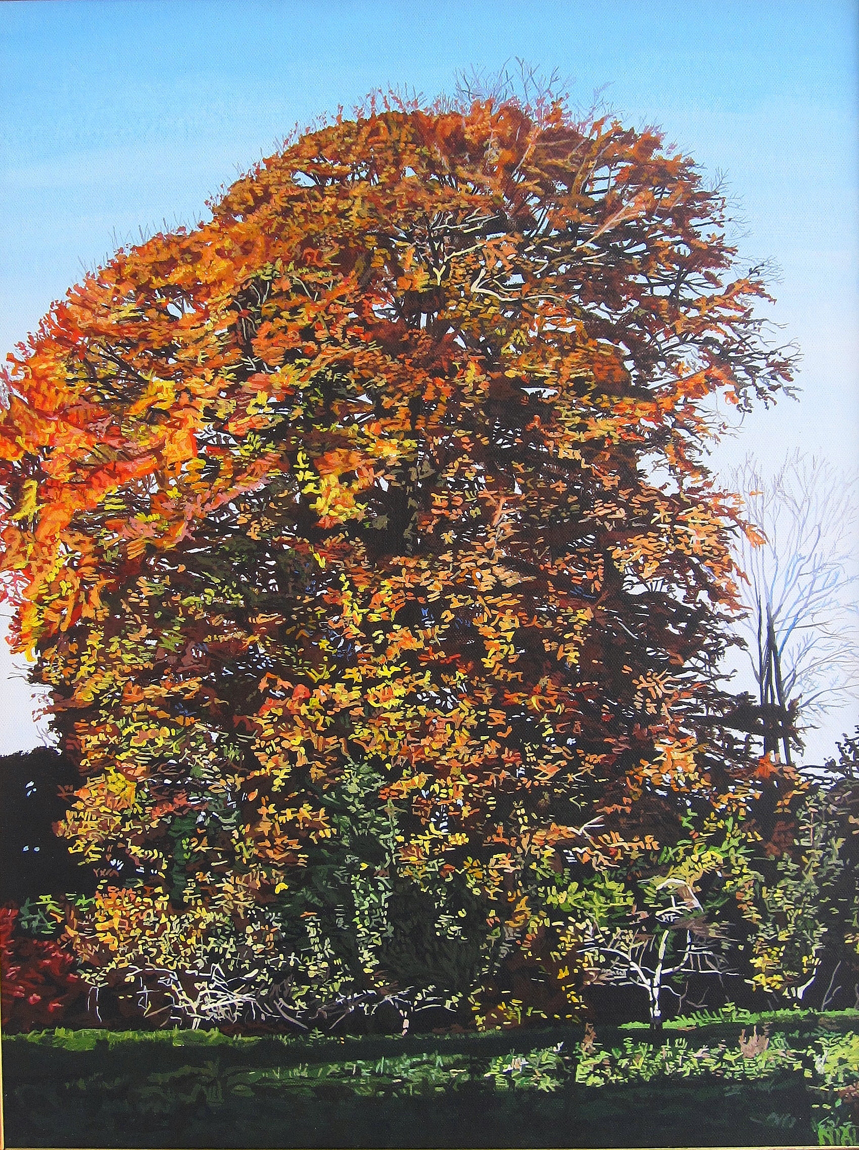 Autumnal Tree in Carew's Wood
