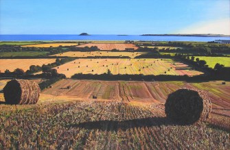 autumnal view of garryvoe2