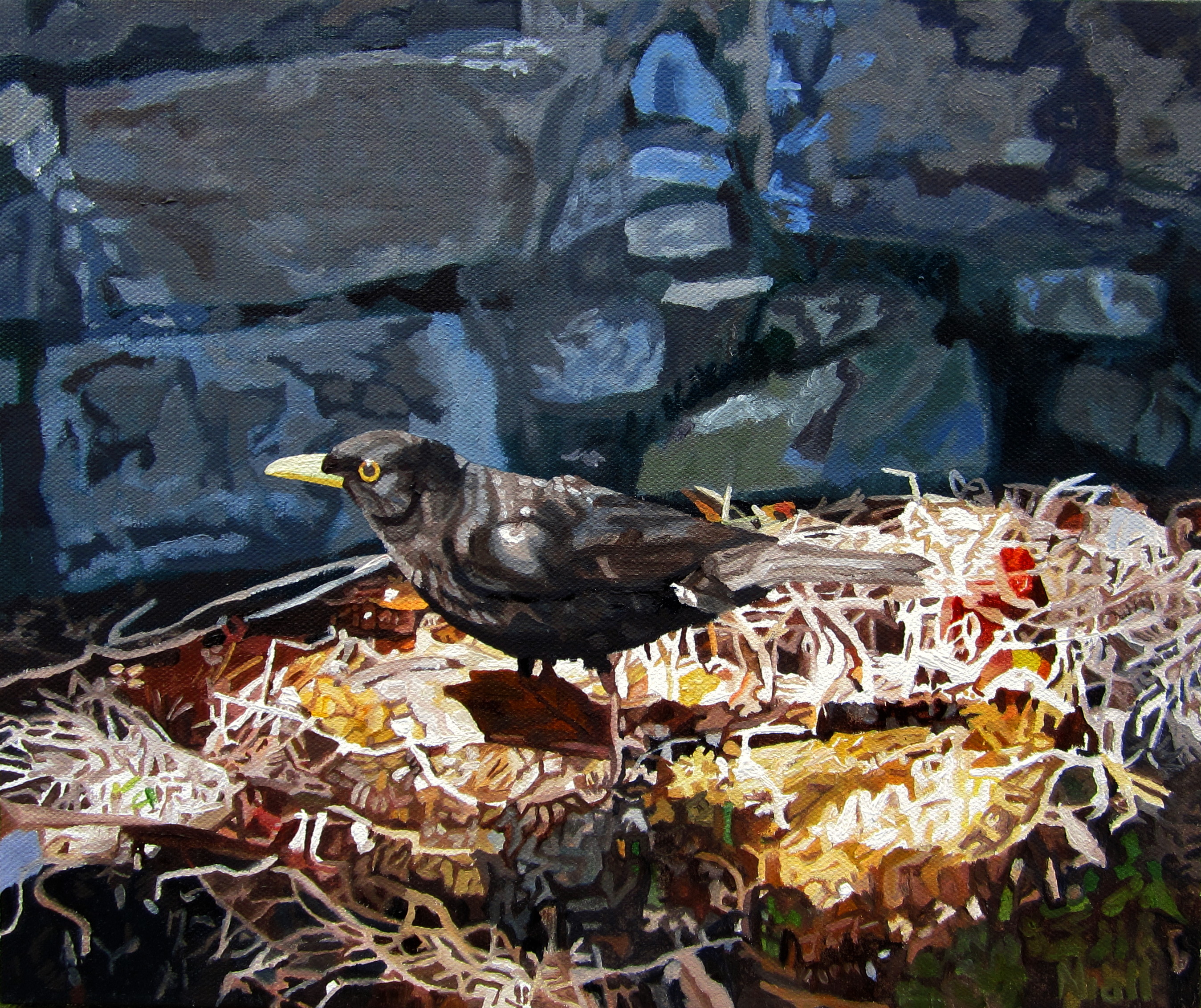 Blackbird in a Sunbeam