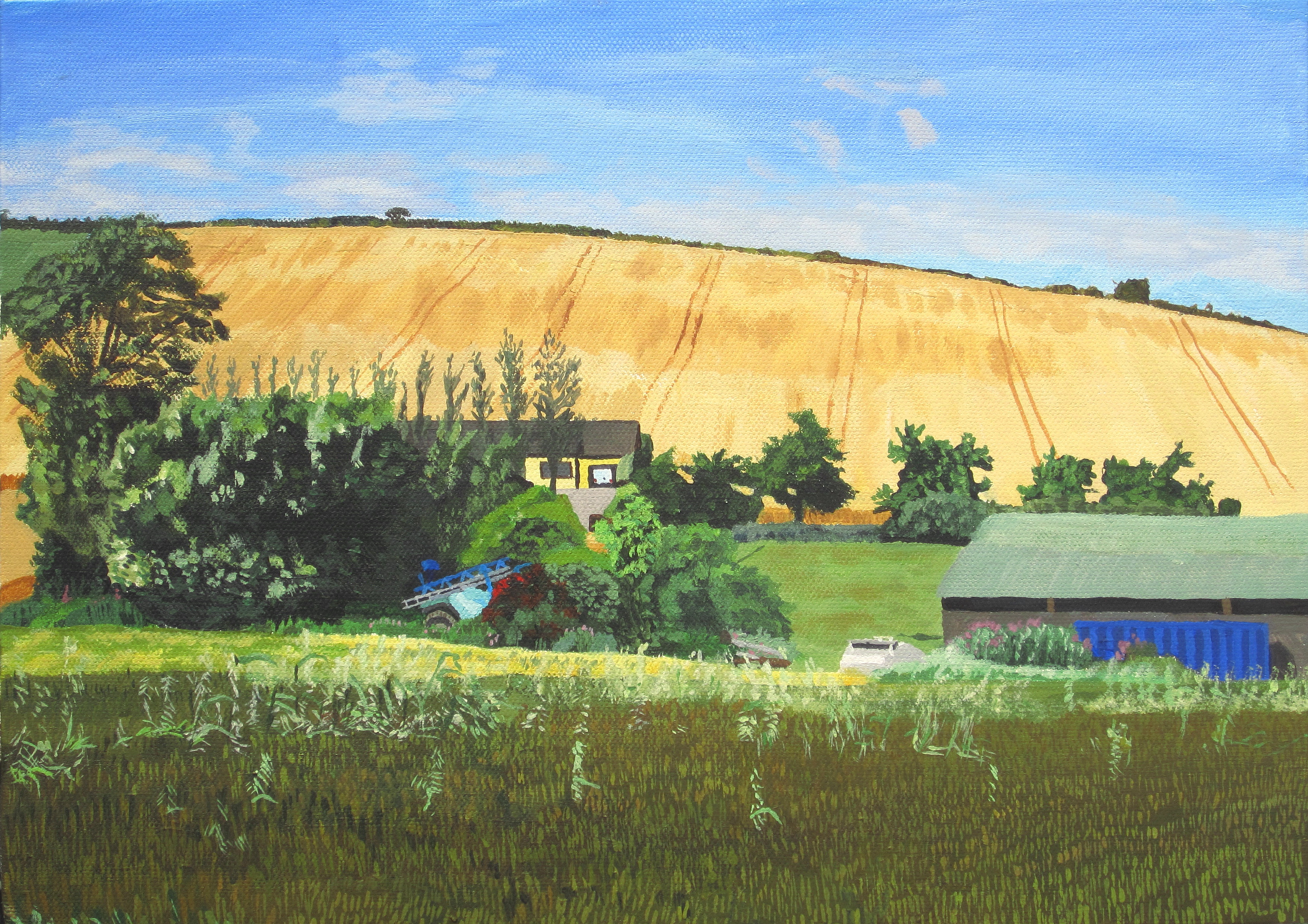 Cornfields at Loughane near Shanagarry, July 2012