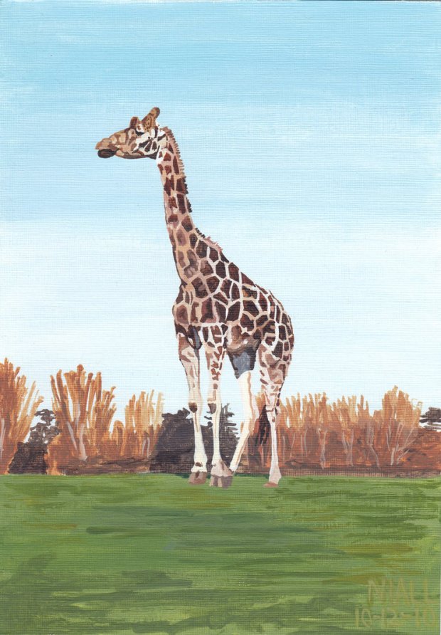 Giraffe