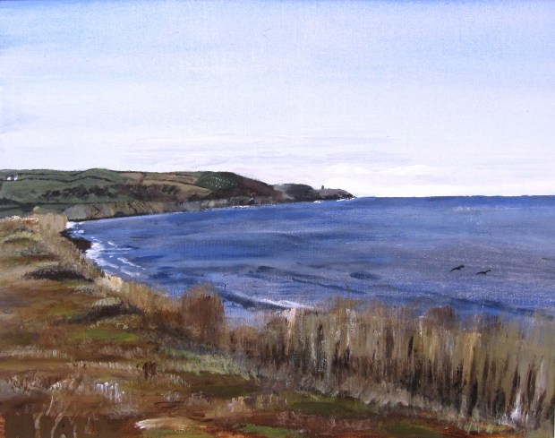 Knockadoon Peninsula