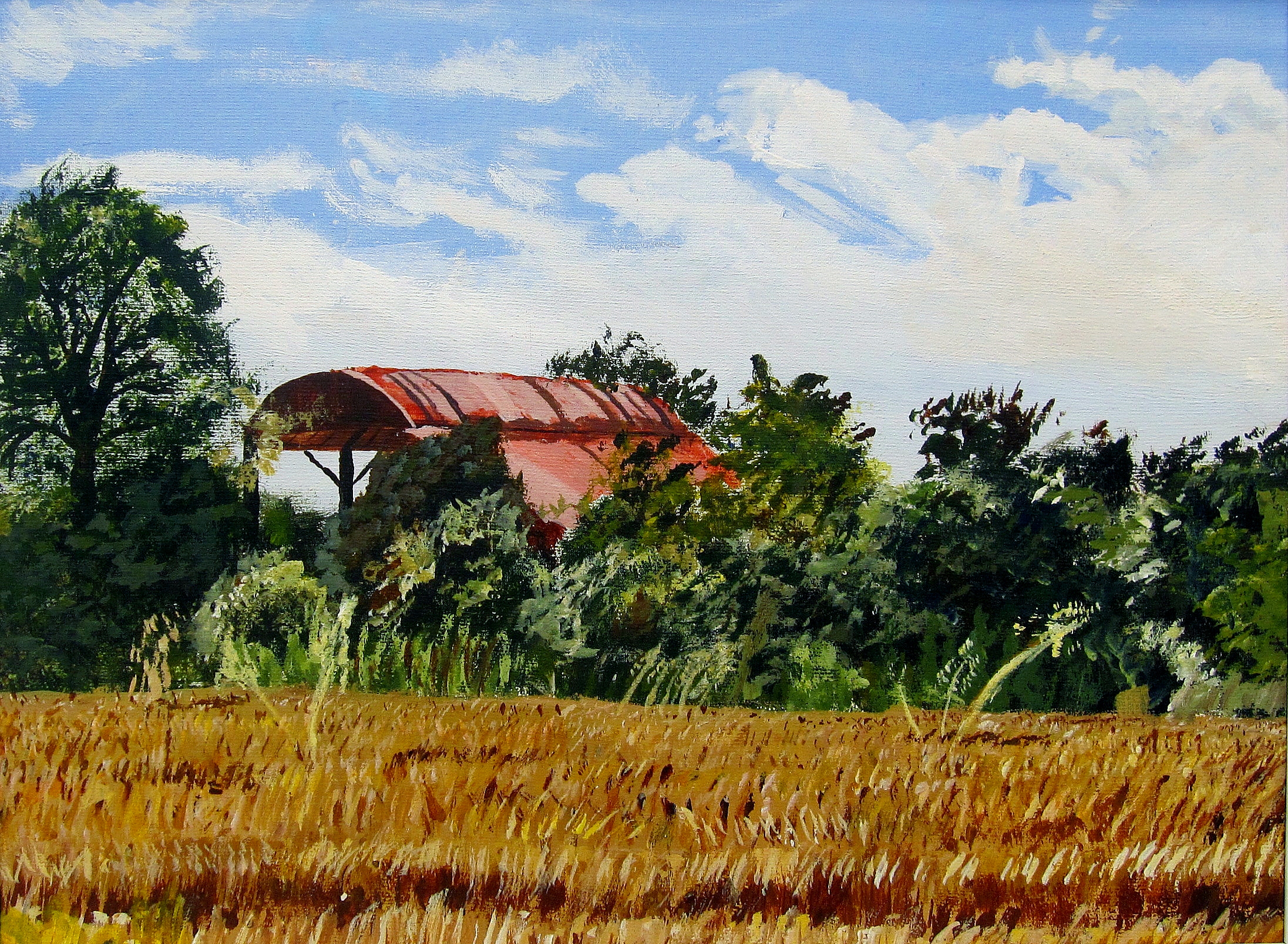 Long Garden Field and Shed