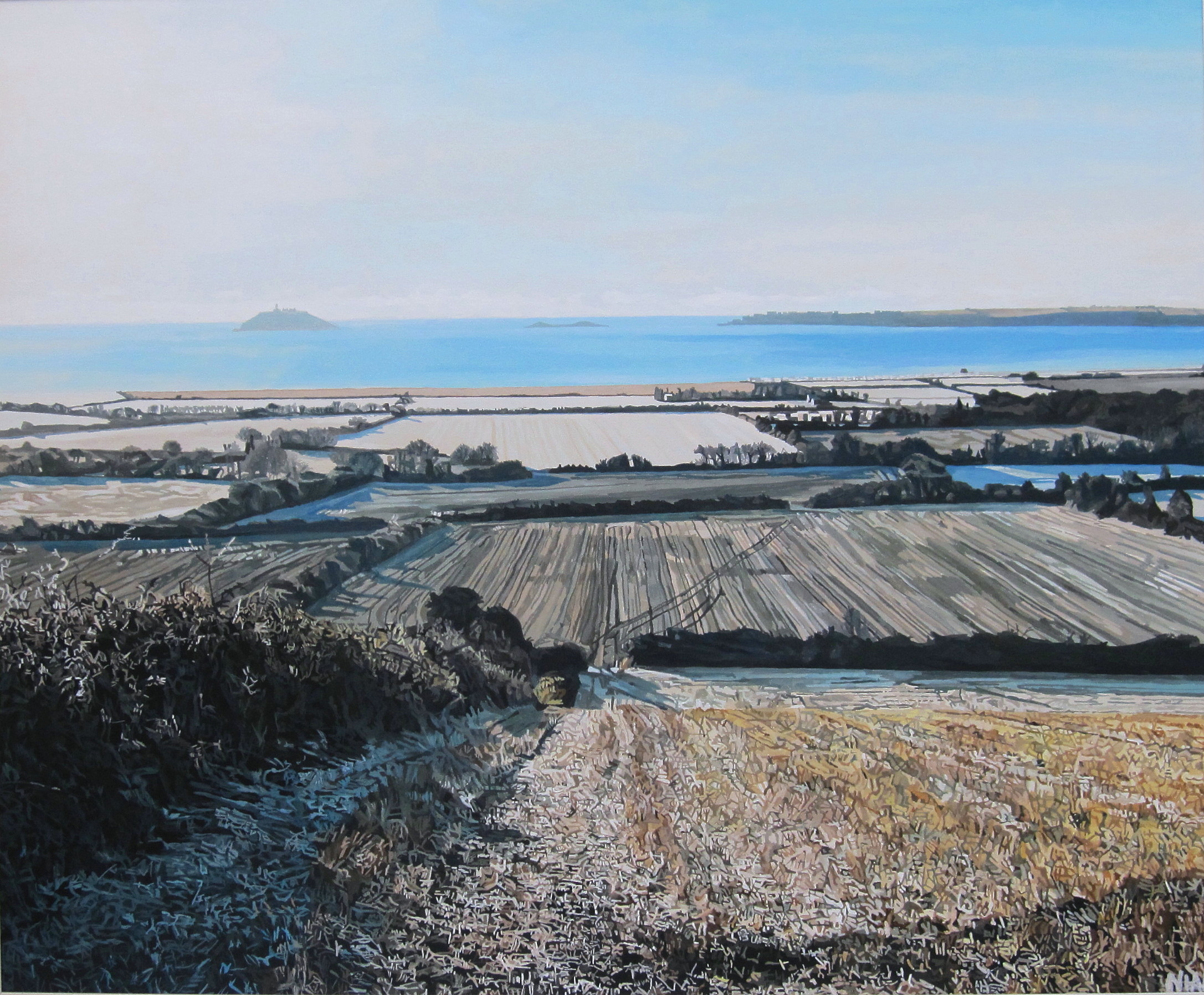 Midwinter View of Garryvoe