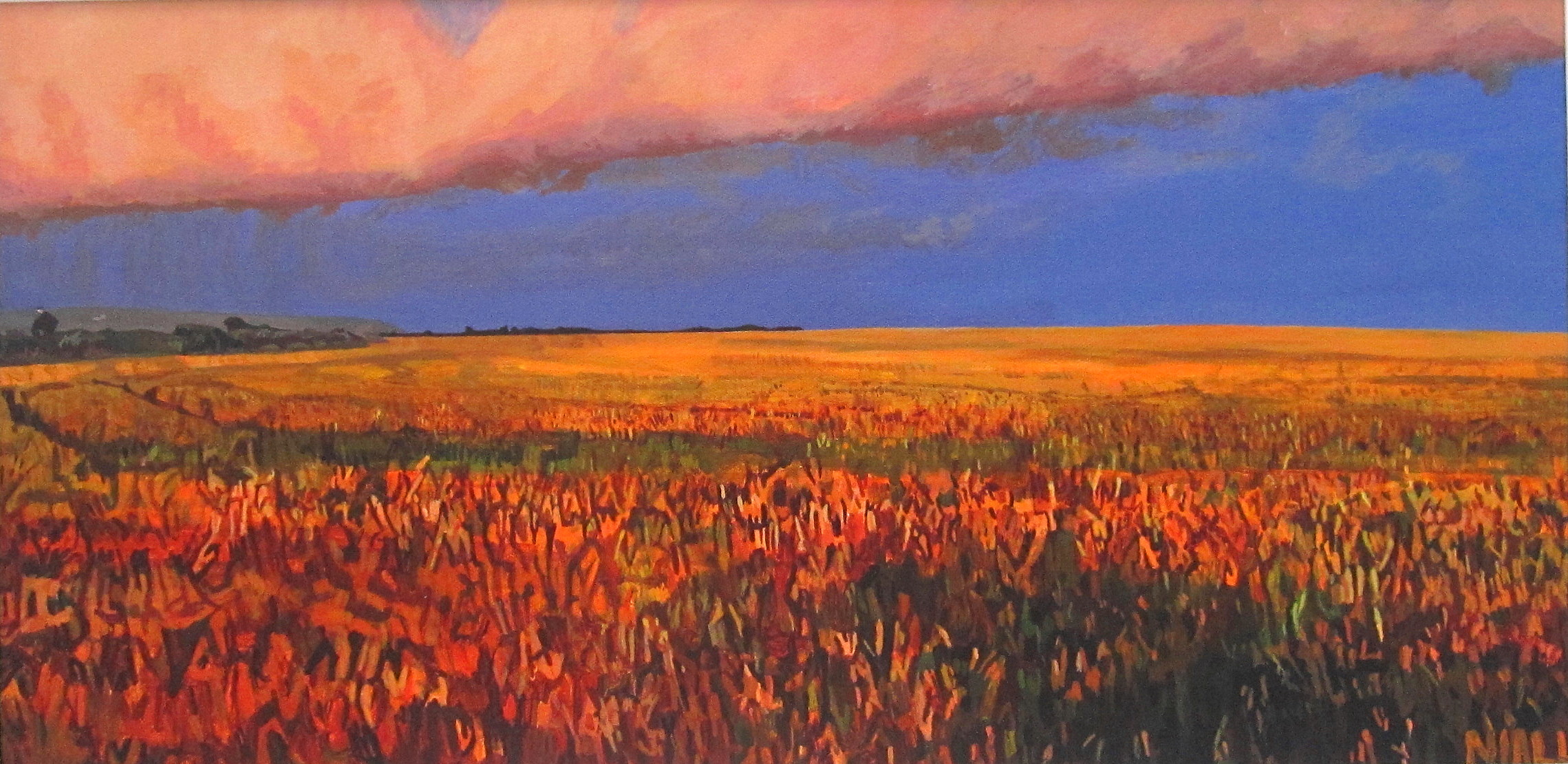 Rainy Sunset in the Strand Field