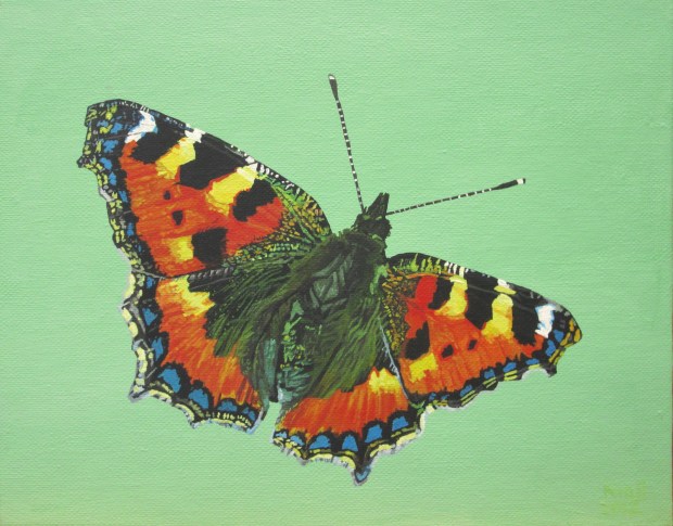 Small Tortoiseshell Butterfly