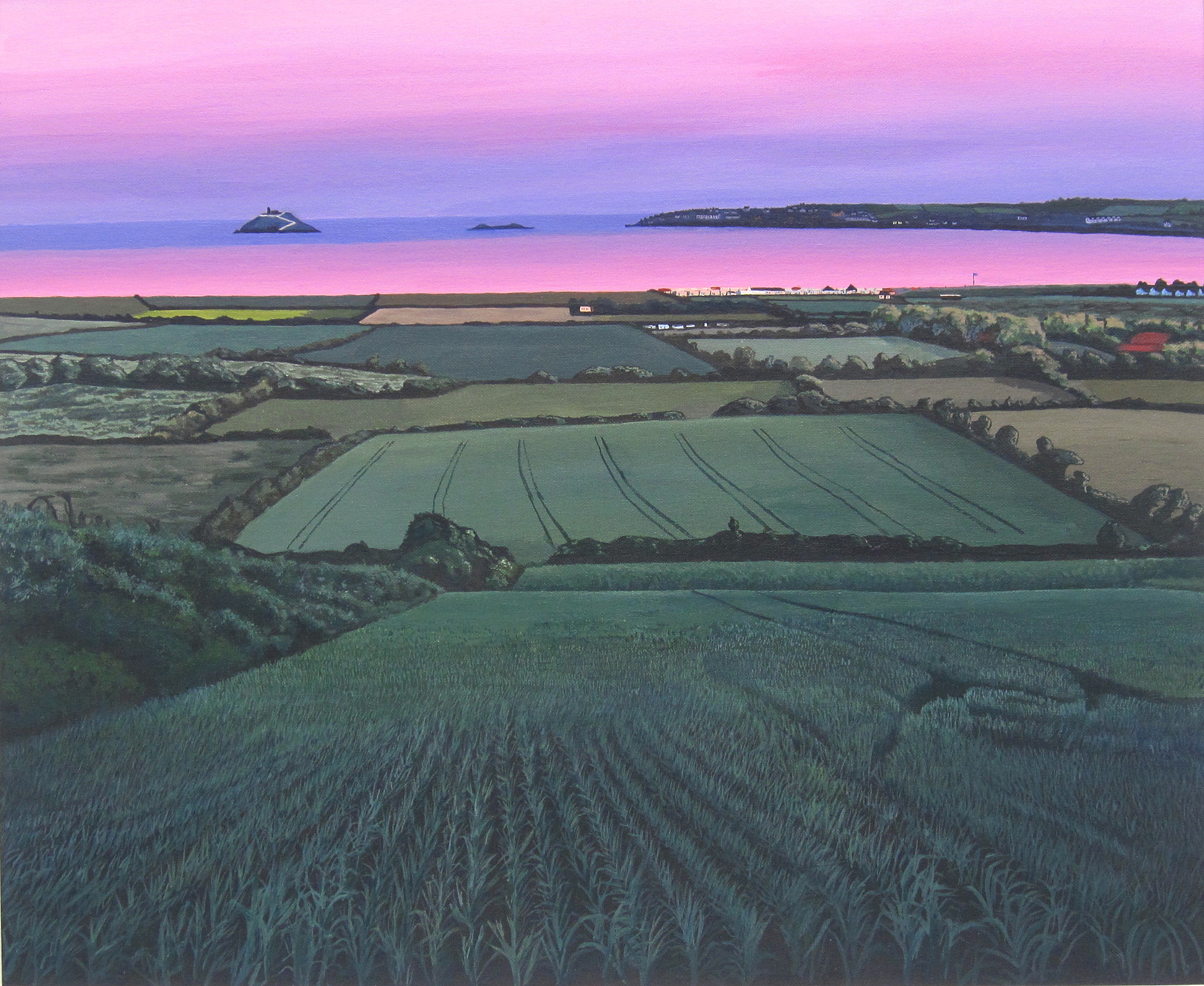 Summer View of Garryvoe