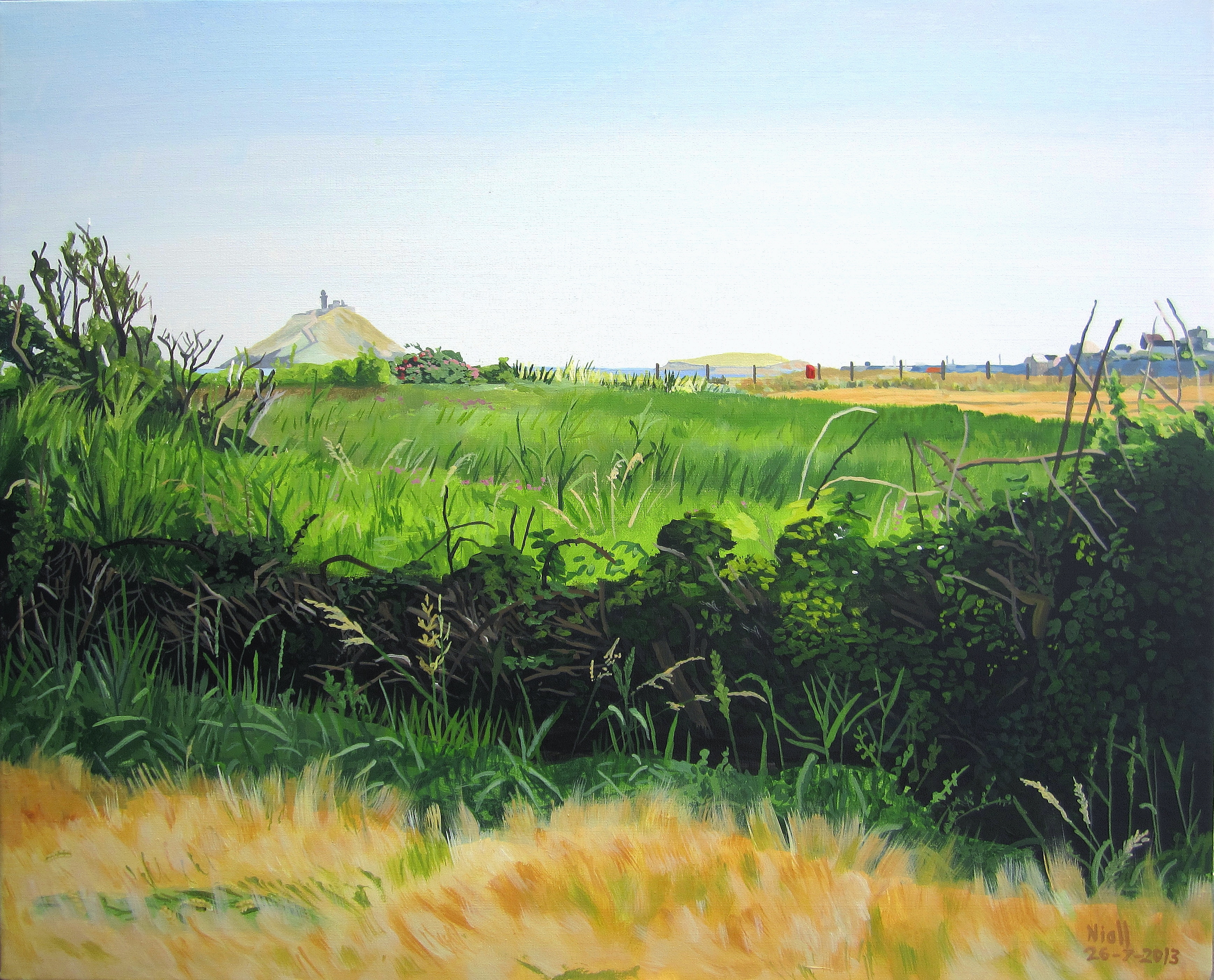 View Of Ballycotton From A Barley Field Near Ballynamona Beach