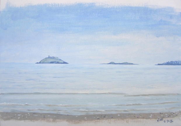 Garryvoe Beach, July 2013