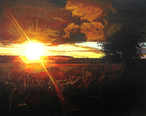 Dazzling Sun, Shadowy Hawthorn