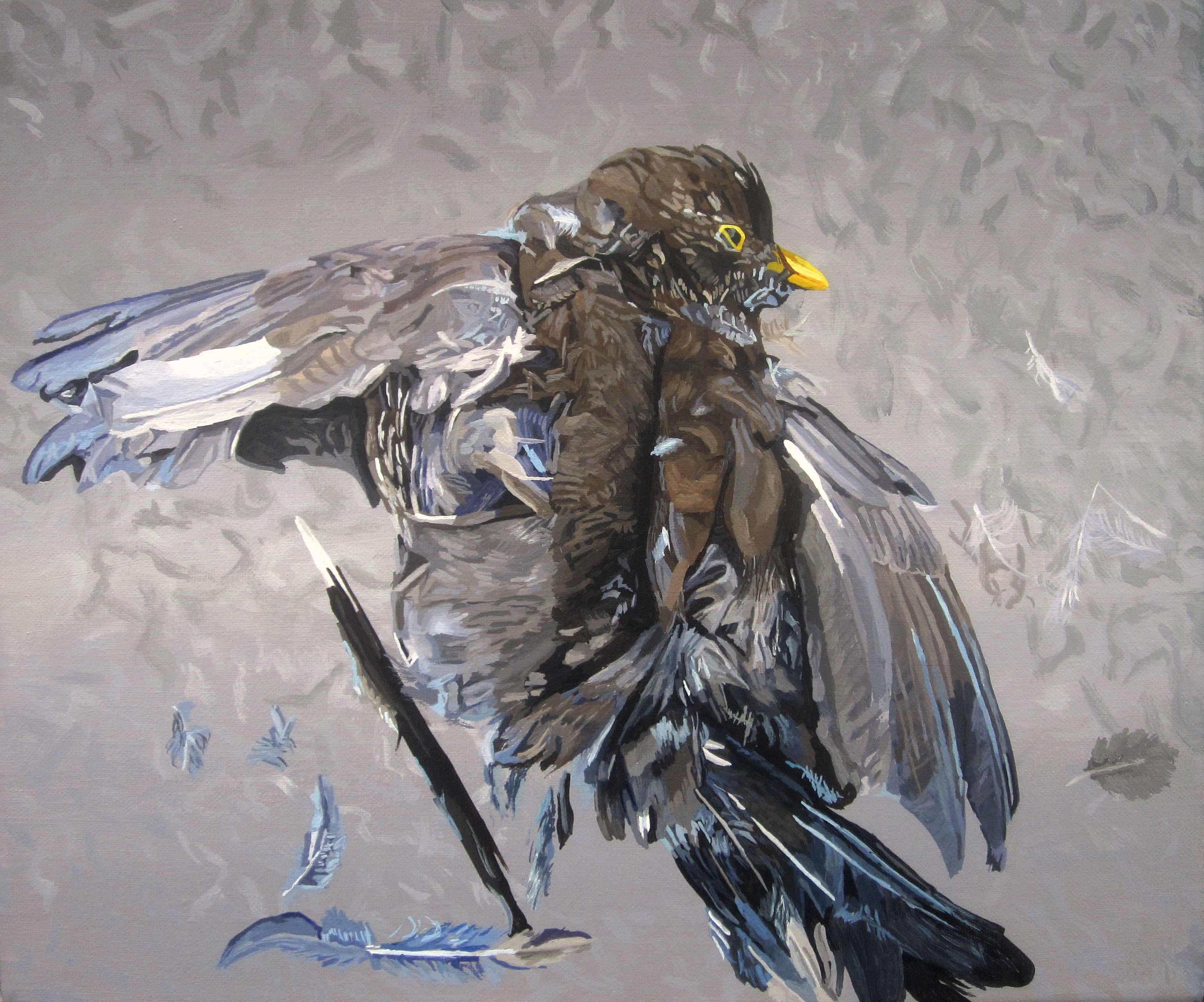 Dead Blackbird