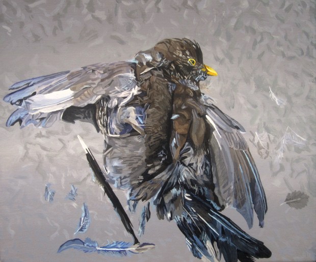Dead Blackbird