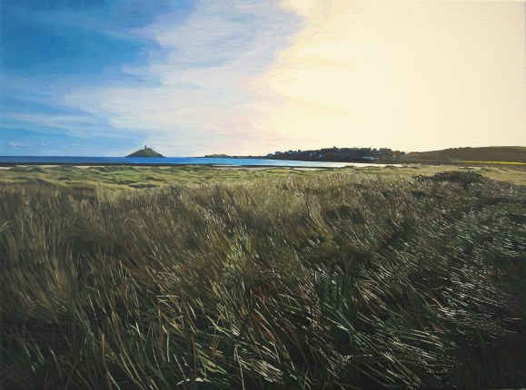 Glistening Beach Grass near Ballynamona Strand