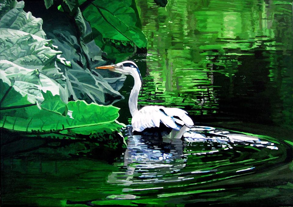 Heron Swimming In The Pond At Fota Gardens