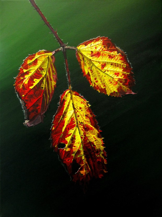 Autumnal Briar Leaves 5