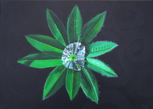 Rain water on a lupin leaf twitpic