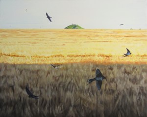 Swallows darting over the Strand Field
