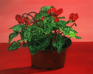 Potted Cyclamen (Red October)