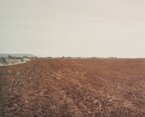 Freshly Ploughed Strand Field