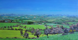 Panoramic View From Curraghdermot watermark