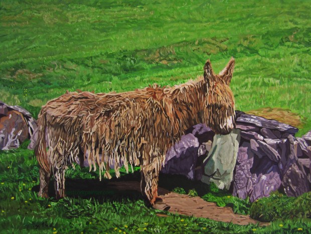 Blasket island donkey