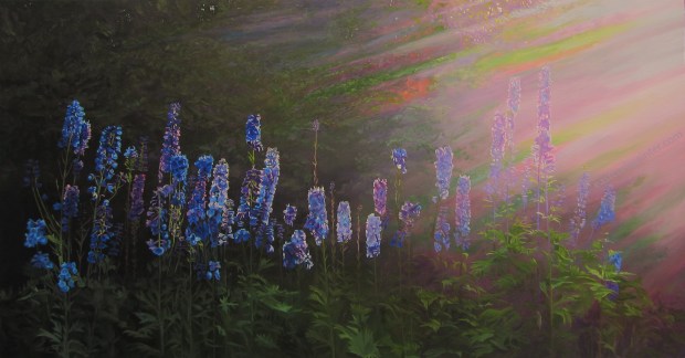 Delphiniums backlit watermark