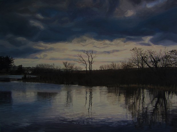 Ballyhonock Lake watermark