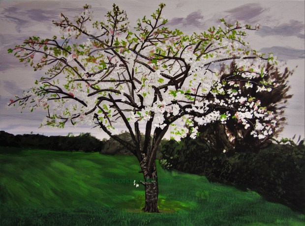 White Blossom Tree Turning, 2016 watermark