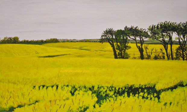 Field of Oilseed Rape Near Shanagarry watermark