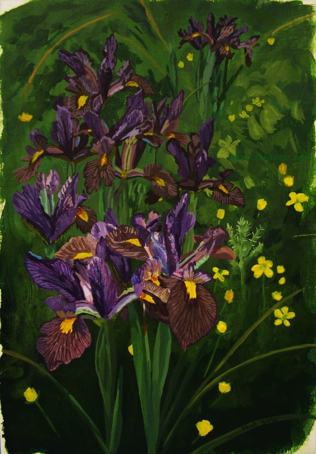 Irises and Buttercups watermark
