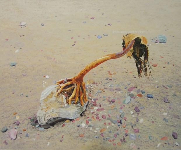 Seaweed on a rock watermark