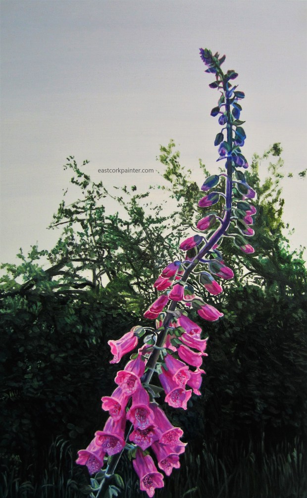 Foxglove 3 watermark