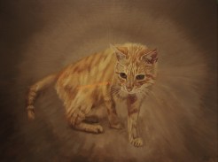 The Blind Cat watermark