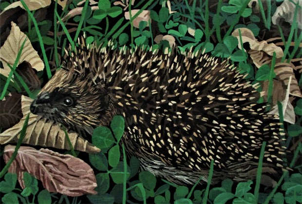Hedgehog watermark
