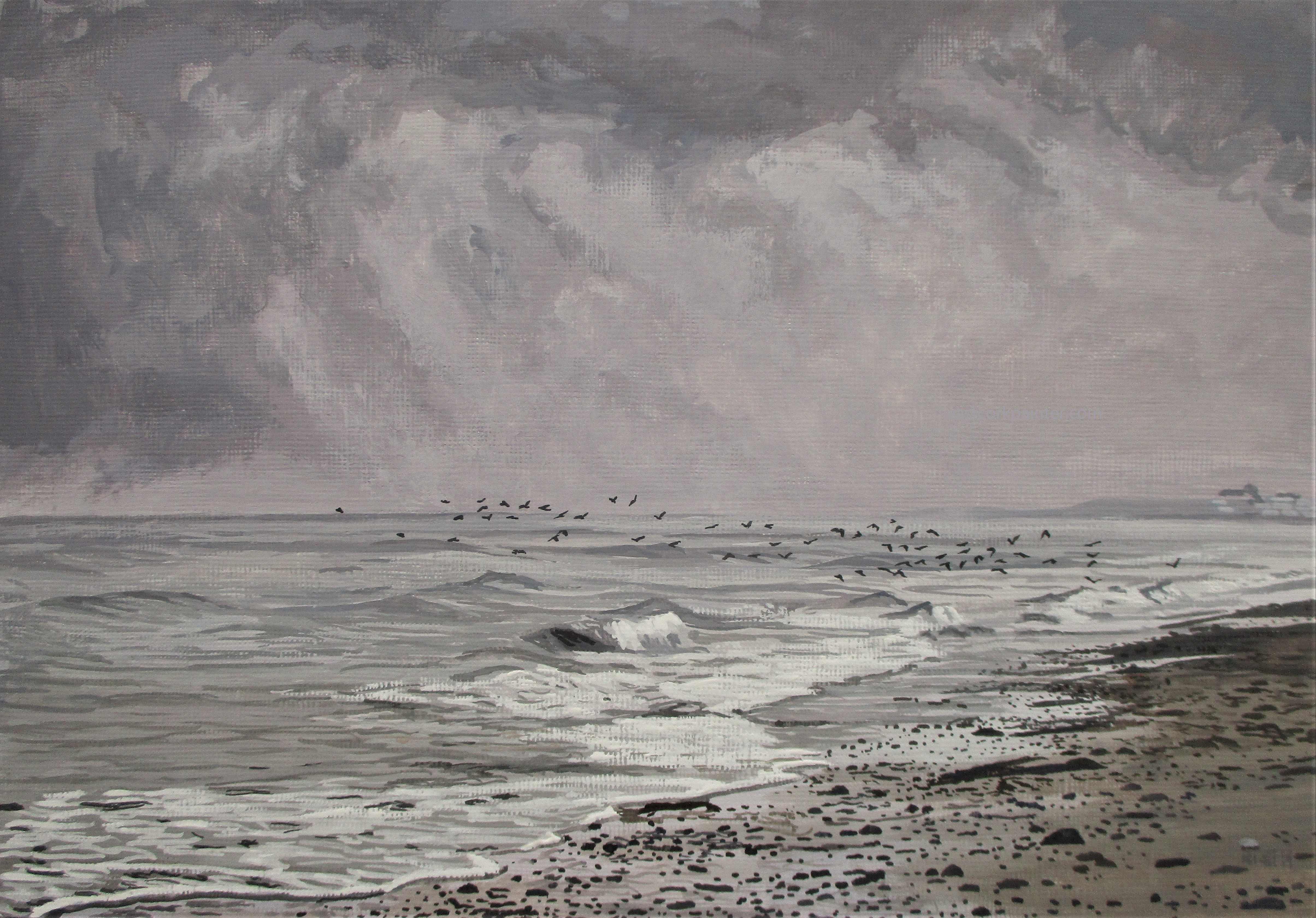 A Flock Of Seabirds watermark