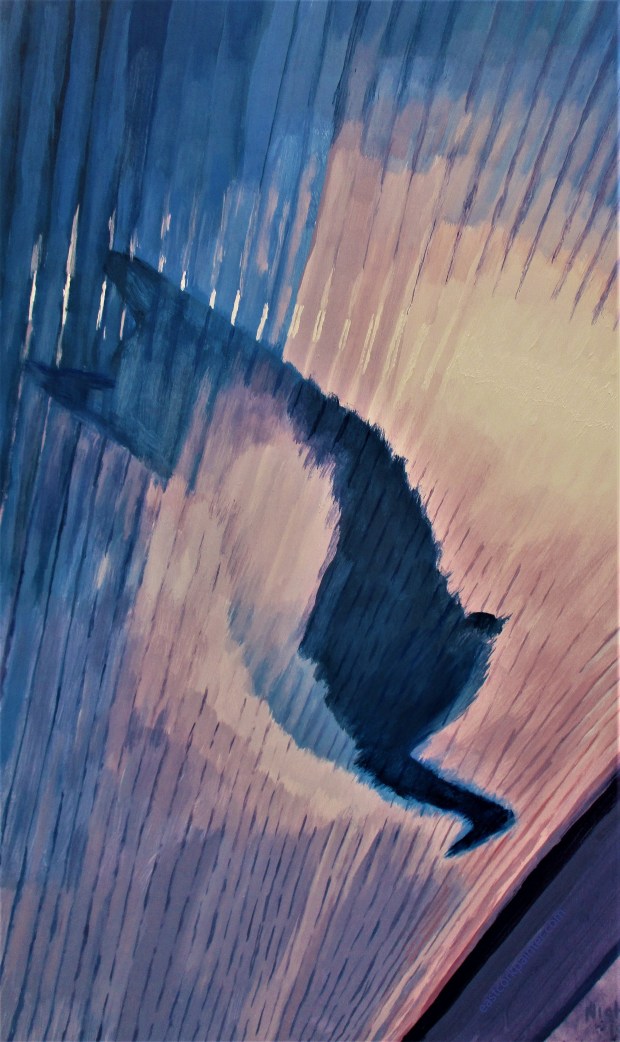 Cat's Shadow On Conservatory Roof