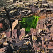 Green Rockpool
