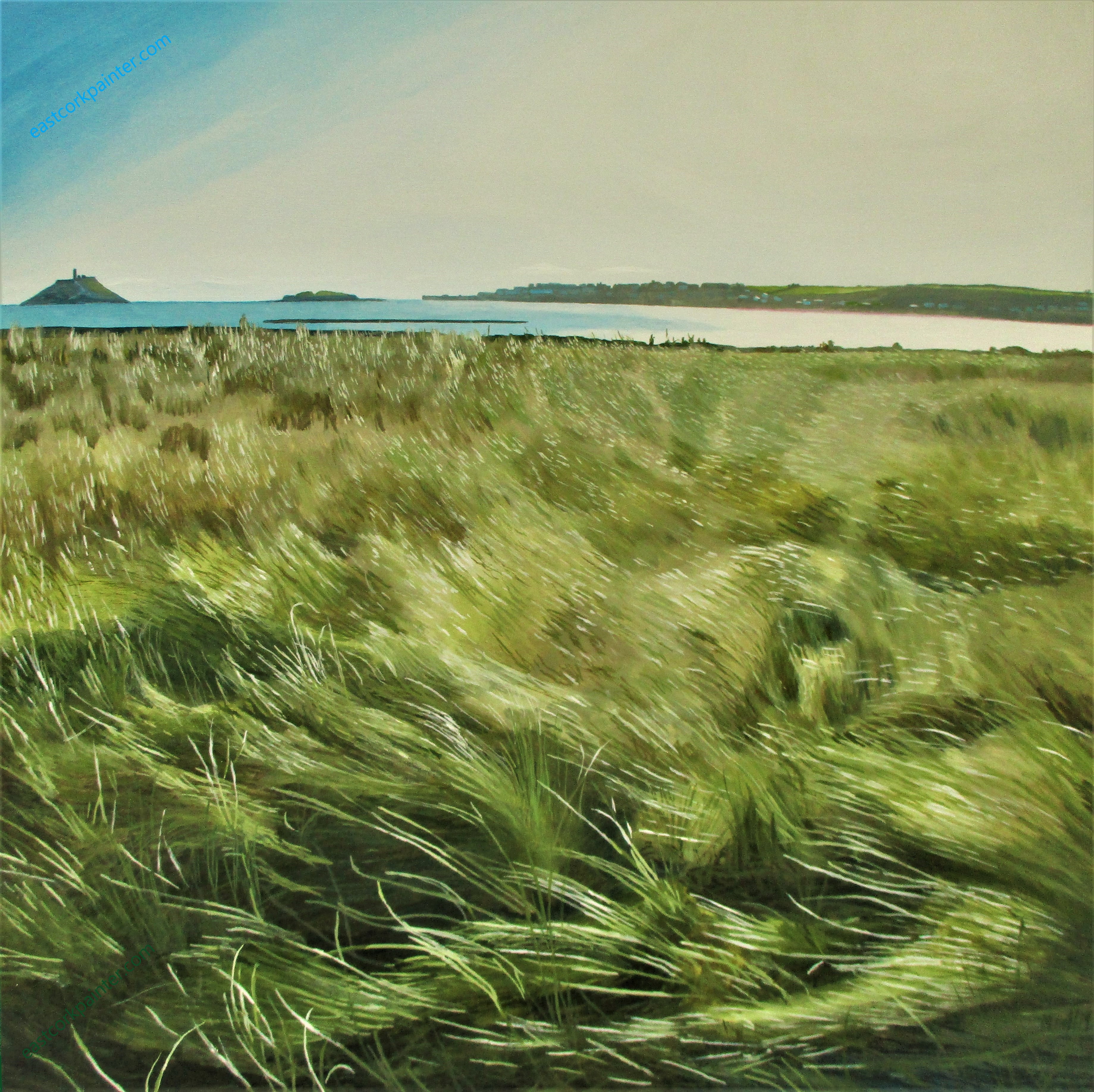 Glistening Beachgrass Near Ballynamona Beach 2