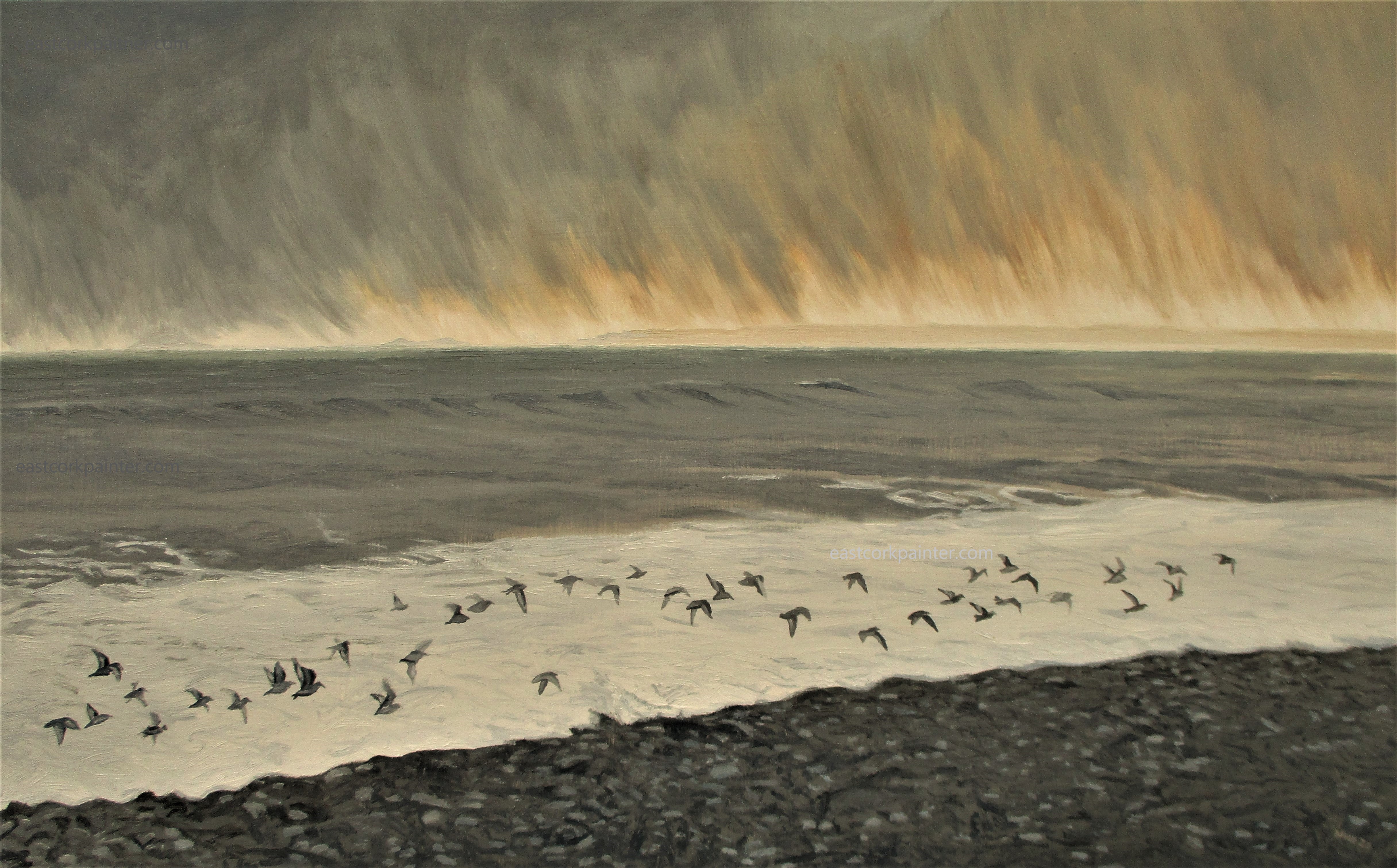 Oystercatchers Flying During A Sleet Shower