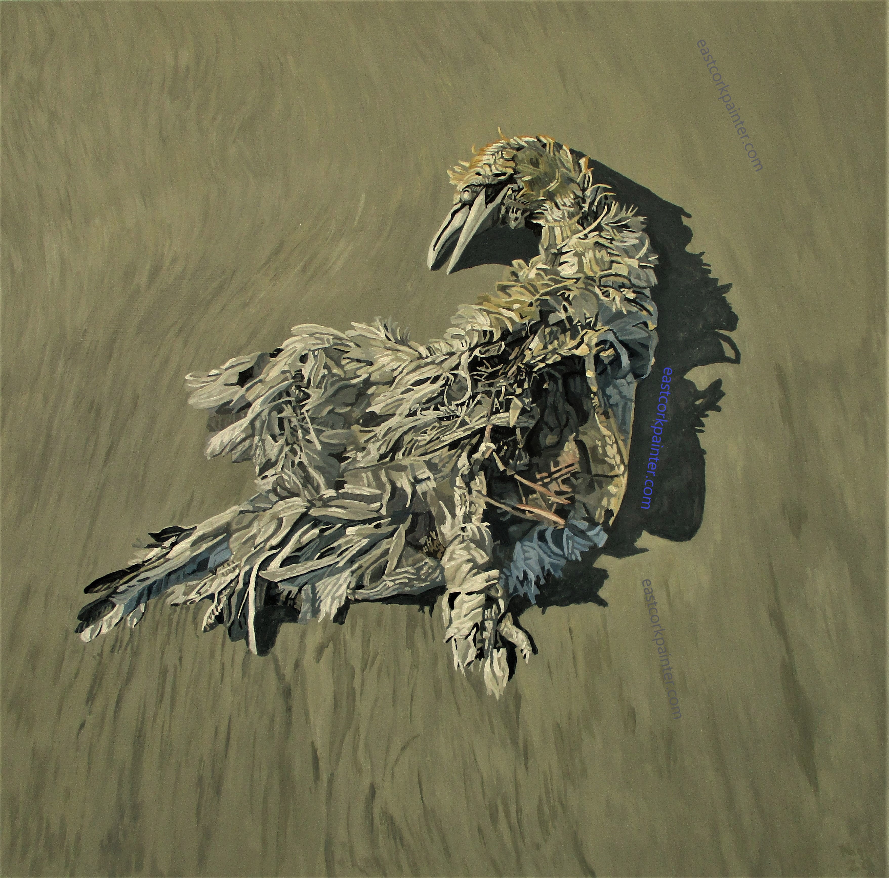 Dead Gannet watermark